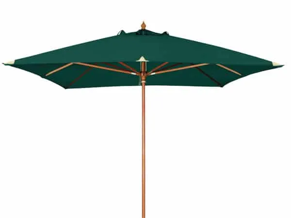 Masívny zelený slnečník