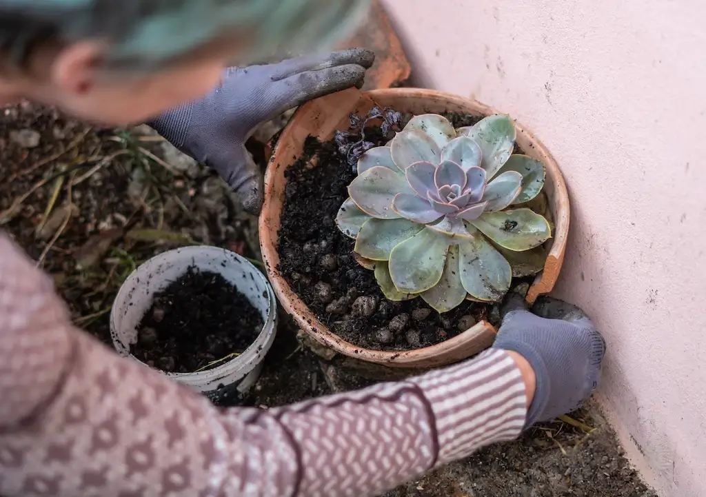 Oprava rozbitého črepníka